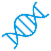 Healthy aging and DNA repair icon